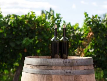 Benefits of Dry Farm Wine