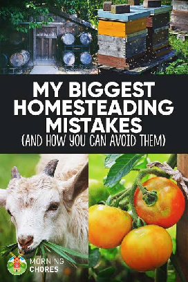Homestead Mistakes to Avoid: 7 Costly Beginner Errors