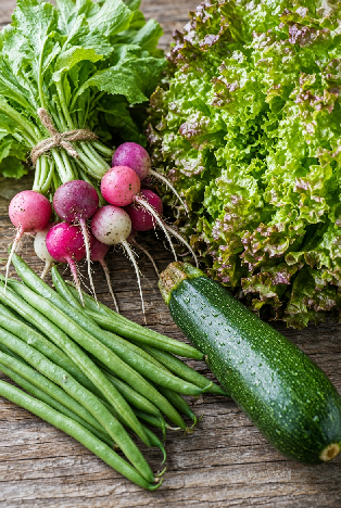 Best Vegetables for Beginner Gardeners: 3 Easy Picks