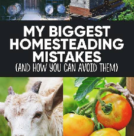 Homestead Mistakes to Avoid: 7 Costly Beginner Errors